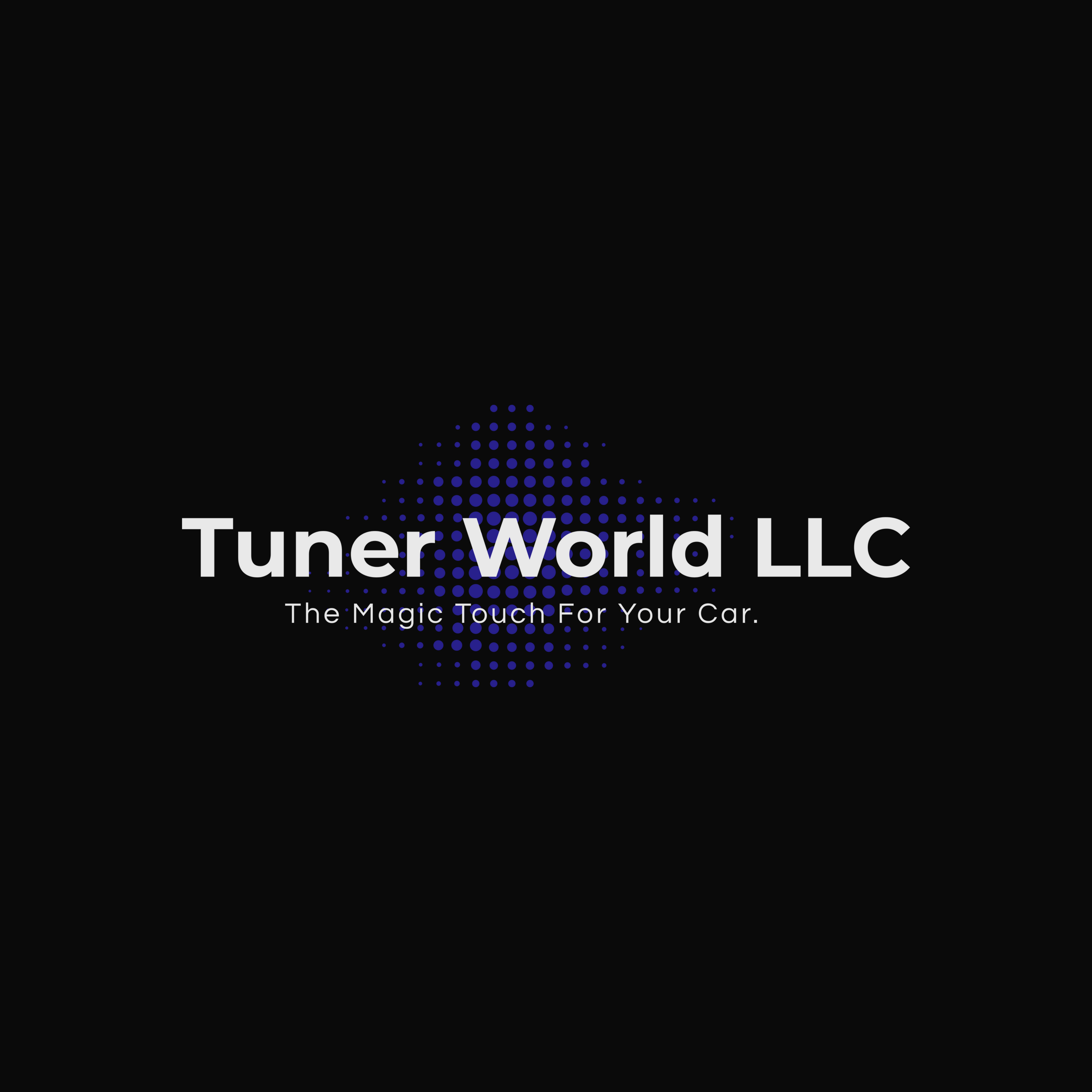 TUNER WORLD LLC