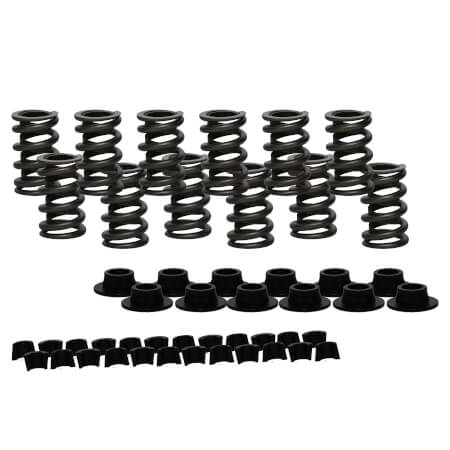 Turbo Buick Valve Hyd Roller Spring Kits