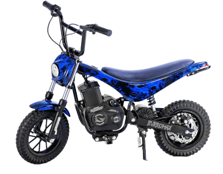 TT1000R Electric Mini Bike