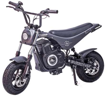 TT1000R Electric Mini Bike